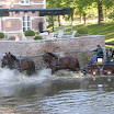 DSCN4913.JPG