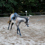 6Y1I2971_DxO_raw.jpg 6Y1I2971_DxO_raw.jpg