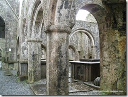 Connemara. Headford. Ruinas del convento Ross Errilly - P5081028