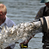 News_110505_SalmonRelease