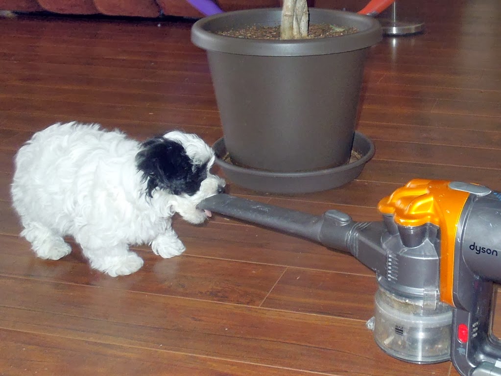 [DSCN8737%255B7%255D.jpg]