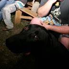 IMG_6832.JPG