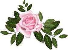 [rosa_4%255B4%255D.jpg]