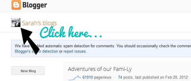 [screen-shot-how-to-find-blogger-prof.jpg]