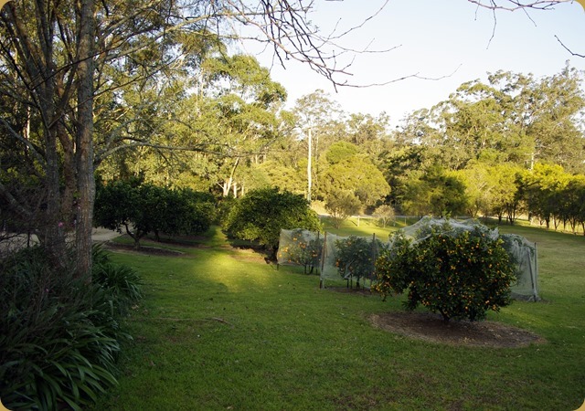 Beautiful property Beautiful property