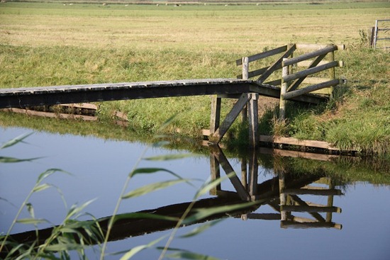 spiegeling