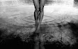 Angel Legs