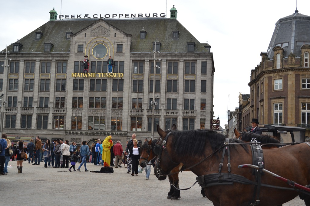 [DSC_05723.jpg]