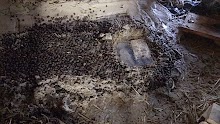 100_2806.JPG