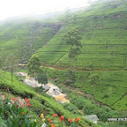 l064.jpg
