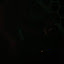 Interview Image Gallery Thumbnail