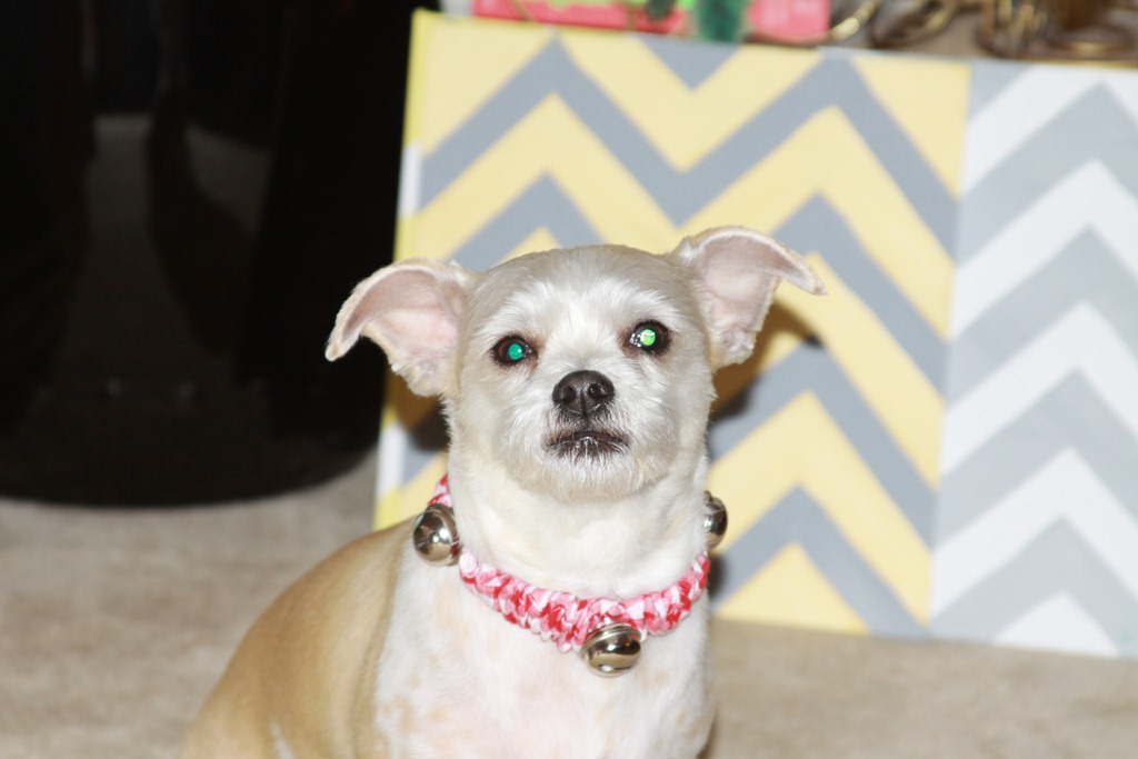 [Kingwood%2520Christmas%2520%252897%2529%255B3%255D.jpg]