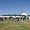 superleite2011_dia1607_17.JPG