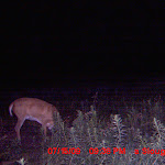 MDGC0263.JPG