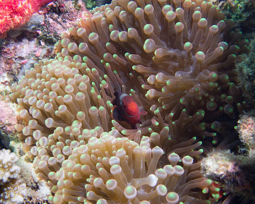 P7024283