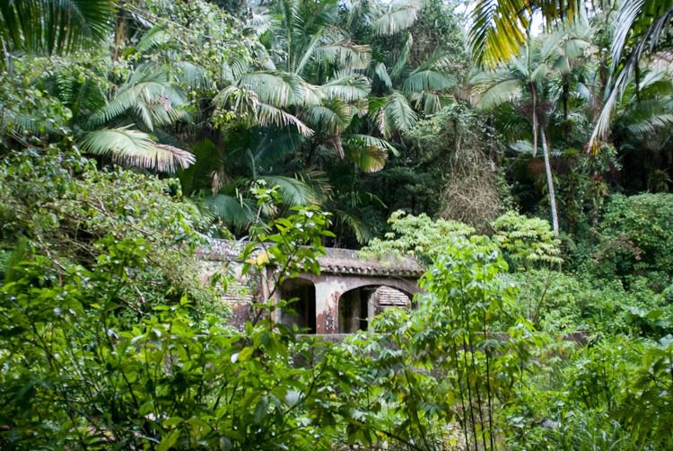 [El-Yunque-Rainforest-blog-85.jpg]