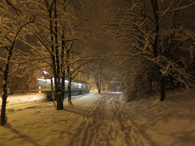 IMG_3963.JPG