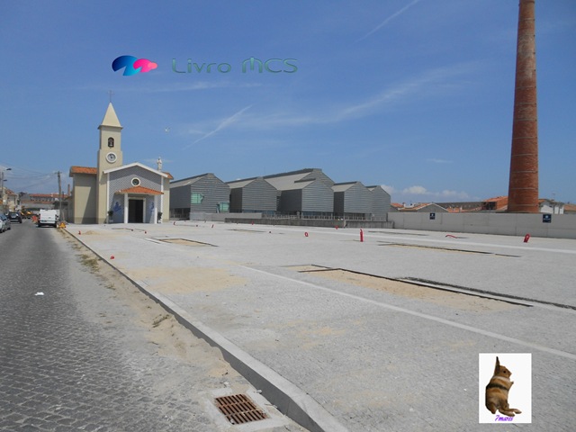 [Bolg%2520Gazeta%2520de%2520Espinho001%2520Livro%2520MCS%255B2%255D.jpg]