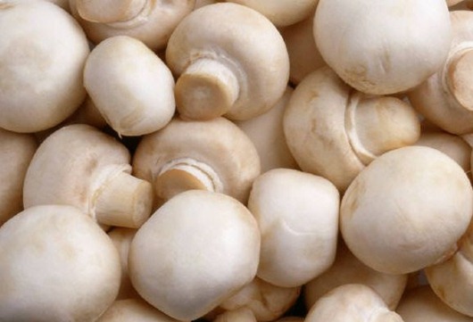 vinegret-s-gribami
