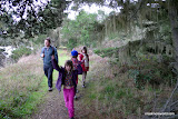 A hike among the forested dunes of Arcata, California