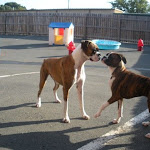 DSCN2526.jpg