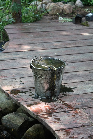 [IMG_3168%255B3%255D.jpg]