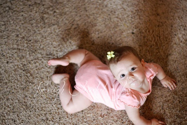 DSC_6266blog.jpg DSC 6266blog