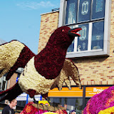 IMGP1359.JPG