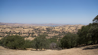 DSC02986.jpg