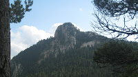 IMG_0783.JPG