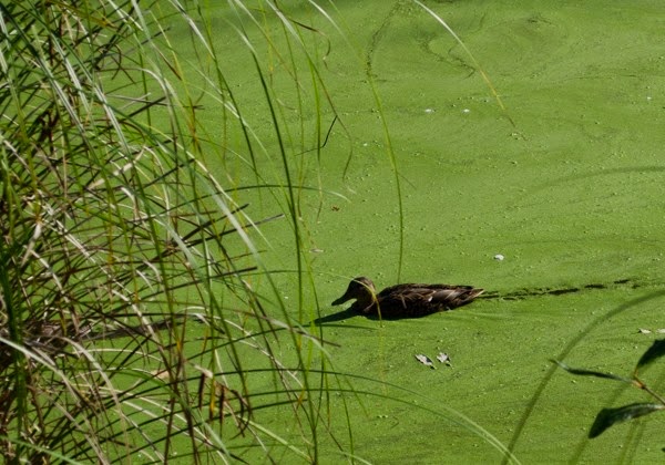 [DSC_0304%255B4%255D.jpg]