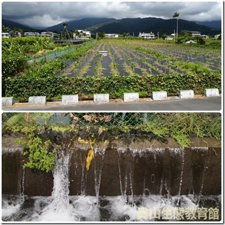 水從哪裡來 水從哪裡來