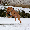 youf_im_schnee_2_01.10.jpg