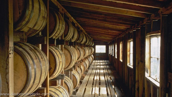 Whiskey barrels in storage, Makers Mark distillery, Loretto, KY.


