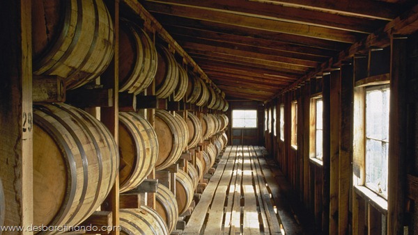 Whiskey barrels in storage, Makers Mark distillery, Loretto, KY.
Whiskey barrels in storage, Makers Mark distillery, Loretto, KY.