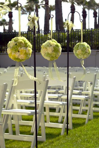 raw of carnations balls as a wedding aisle decor
