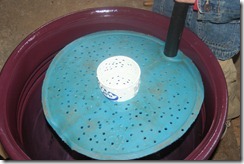 IMG_4260 IMG_4260
