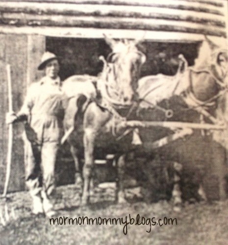 [grandpah%2520horses%255B6%255D.jpg]