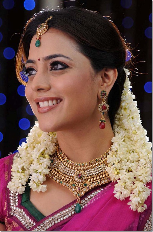 Nisha Agarwal Latest Hot Navel Show Photos in Saree, Nisha Agarwal Hot Saree Pictures Images