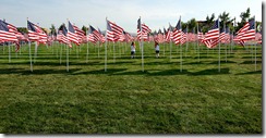 aliandsadi09082011-9
