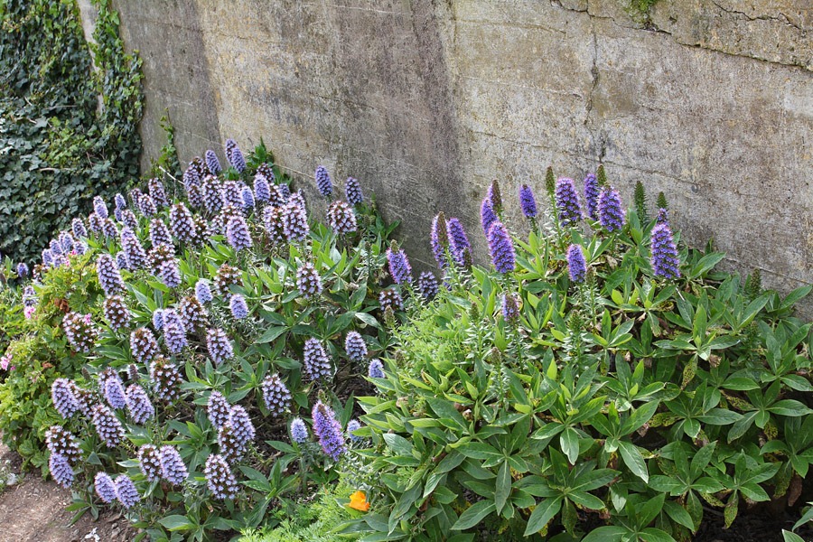 [120408_Alcatraz_176%255B6%255D.jpg]