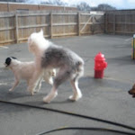 DSCN4559.jpg