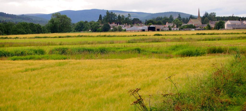 [16%2520July%252018%255B3%255D.jpg]