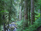 columbia_river_gorge
