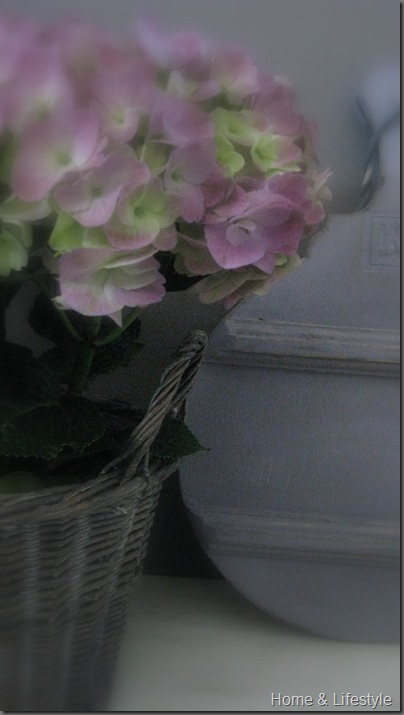 Home & Lifestyle Home & Lifestyle
