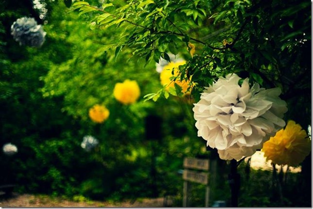 blog11 blog11
