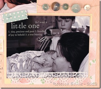 teddy newborn layout right side 3