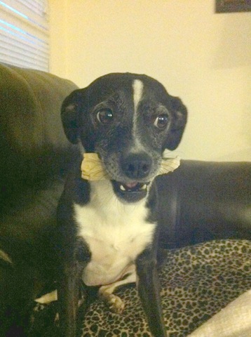 [Lexi%2520%2526%2520Bone%255B2%255D.jpg]