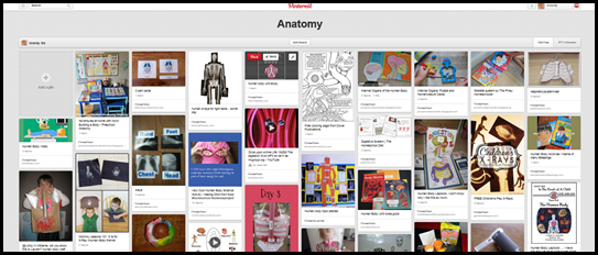 Airamty Anatomy Pinterest