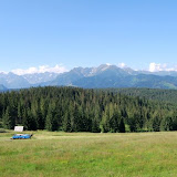 Marek - Gęsia Szyja